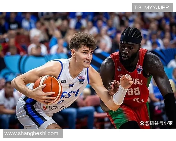 今年的球队公牛身价明星公牛！均走入期前，强势崛起！